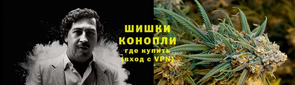 ПСИЛОЦИБИНОВЫЕ ГРИБЫ Липки