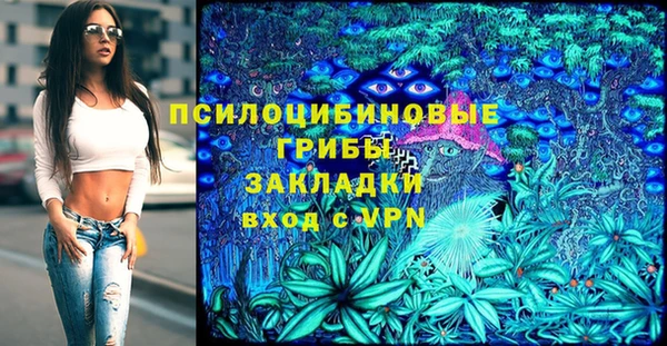 индика Магадан