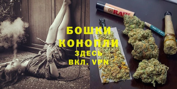 индика Магадан