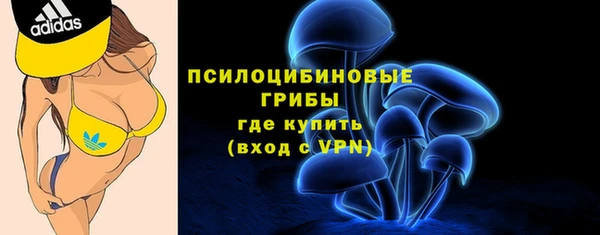 ПСИЛОЦИБИНОВЫЕ ГРИБЫ Липки