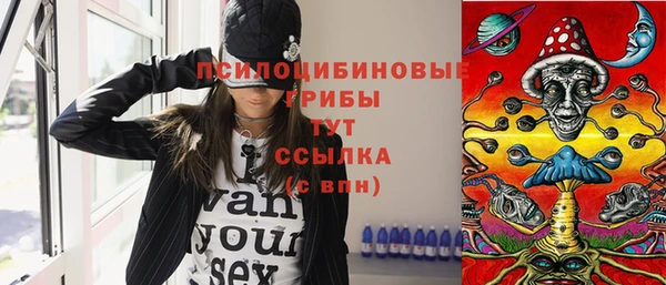 ПСИЛОЦИБИНОВЫЕ ГРИБЫ Липки