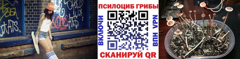 Псилоцибиновые грибы GOLDEN TEACHER  Купить где  Яранск 